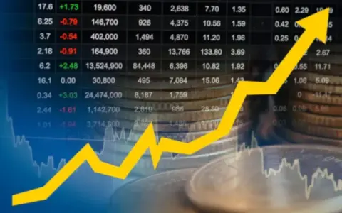 Livewire Markets case study