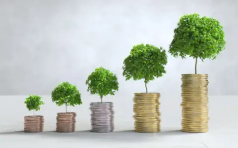 One Investment Group case study